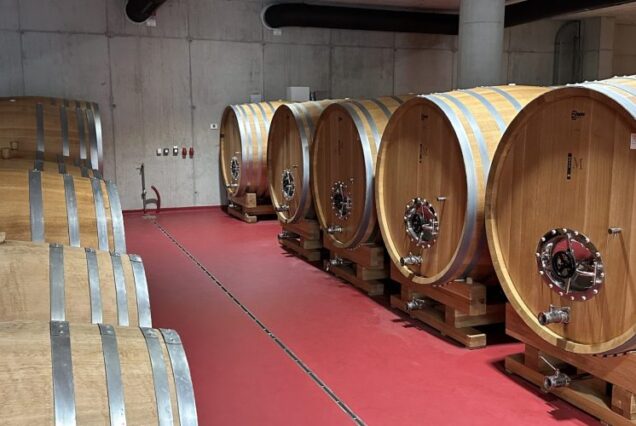 Oyster Tasting + Wine Tour Pelješac