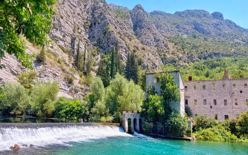 Screenshot 2025-07-31 040956